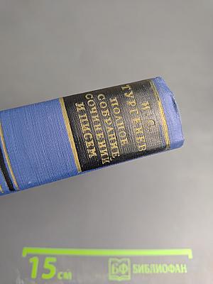 Письма. Том шестой. 1865-1867