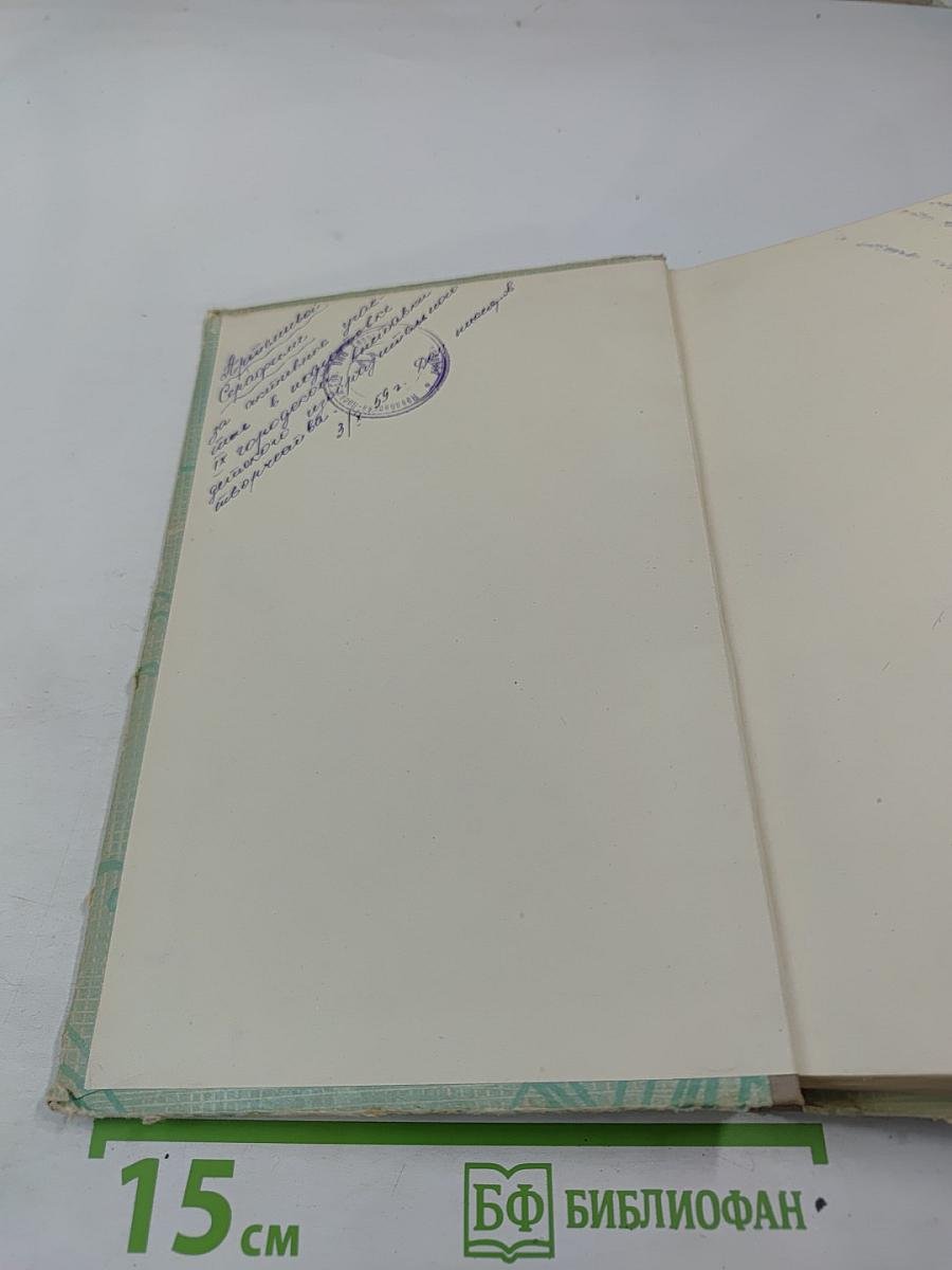 Вернейские грачи