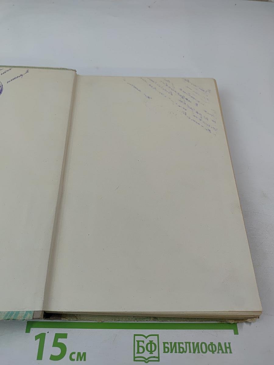 Вернейские грачи