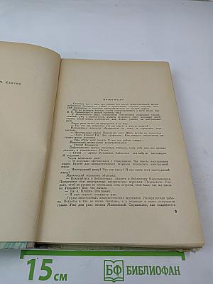 Вернейские грачи