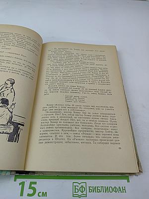 Вернейские грачи