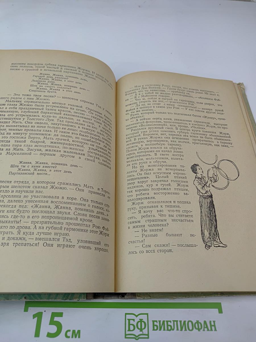 Вернейские грачи