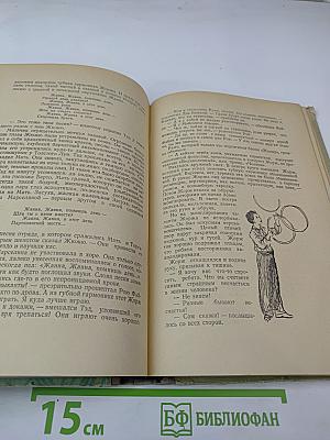 Вернейские грачи