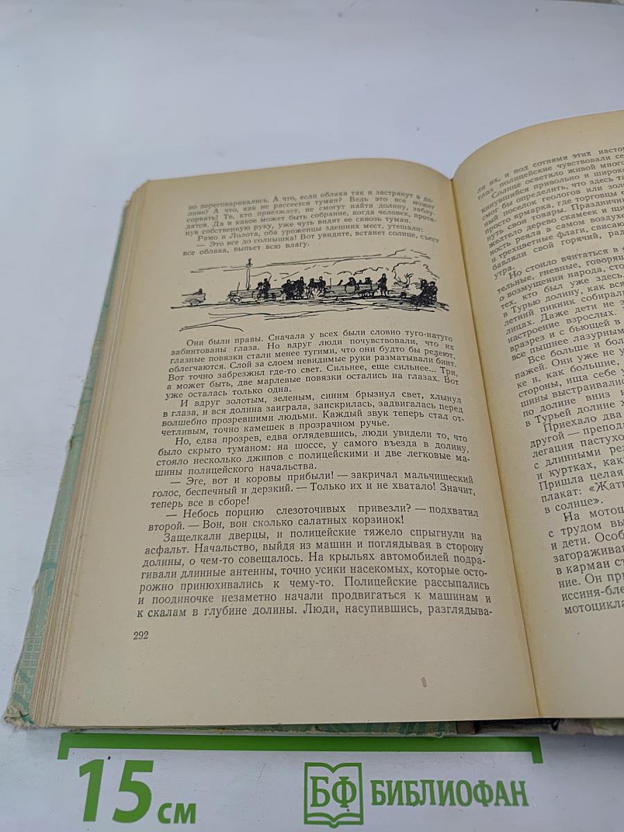 Вернейские грачи