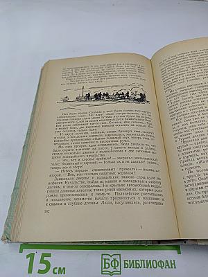 Вернейские грачи