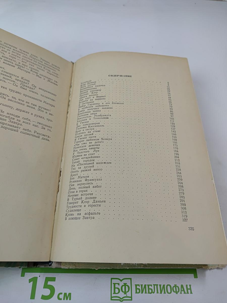 Вернейские грачи