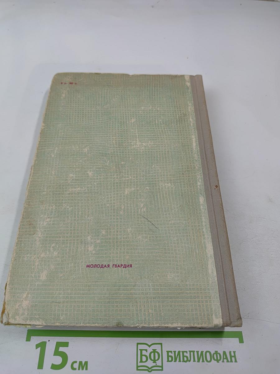 Вернейские грачи