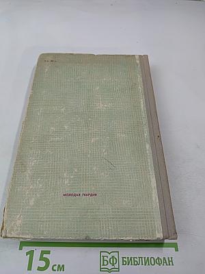 Вернейские грачи