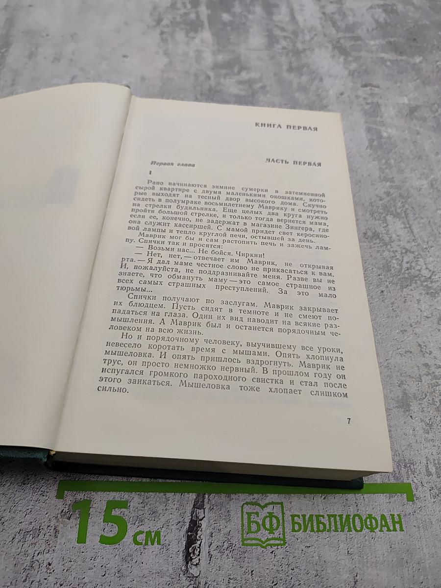 Горбатый медведь