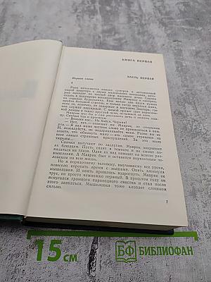 Горбатый медведь