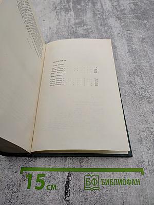 Горбатый медведь