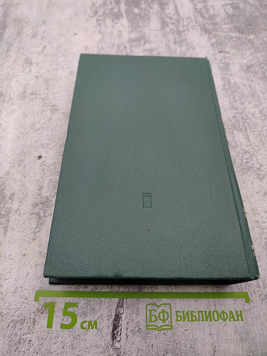 Горбатый медведь