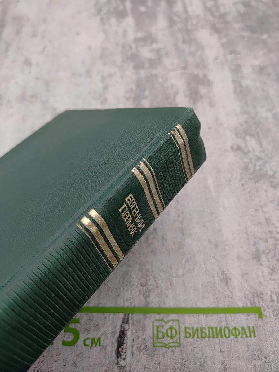 Горбатый медведь