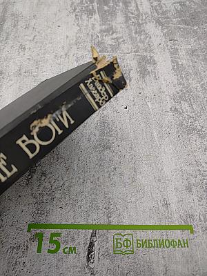 Ледяные Боги