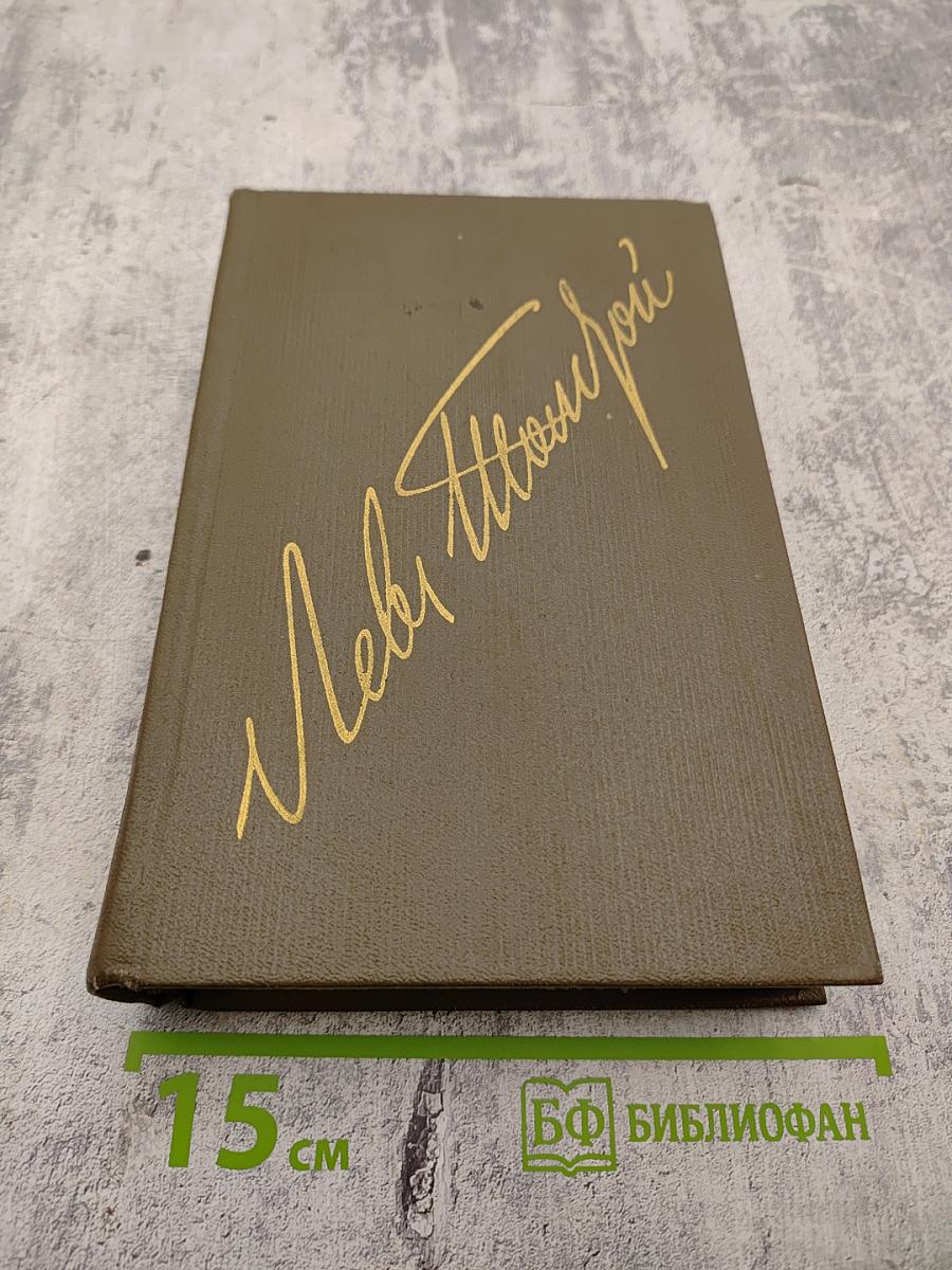 Дневники 1847-1894. Том двадцать первый