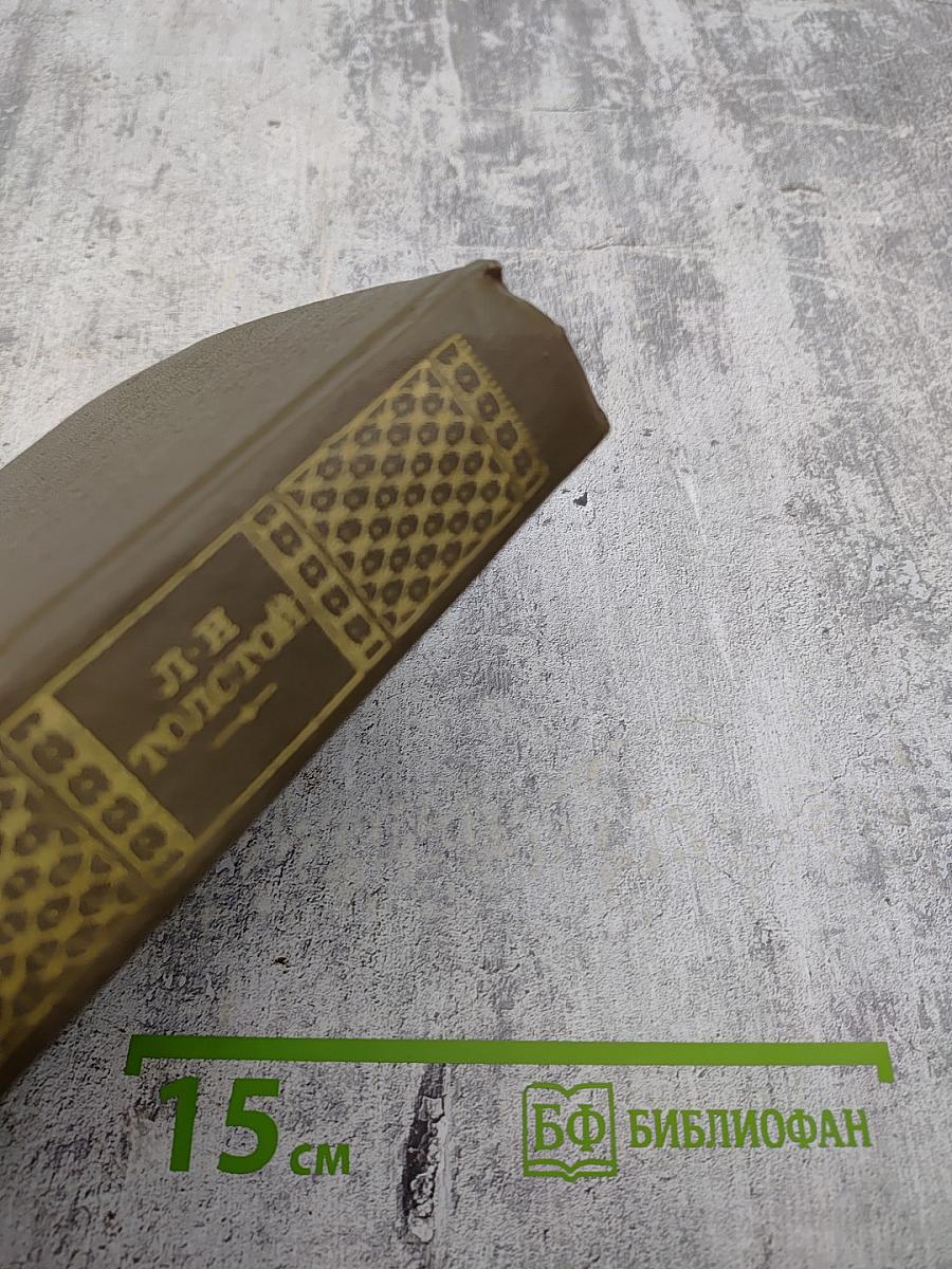 Дневники 1847-1894. Том двадцать первый