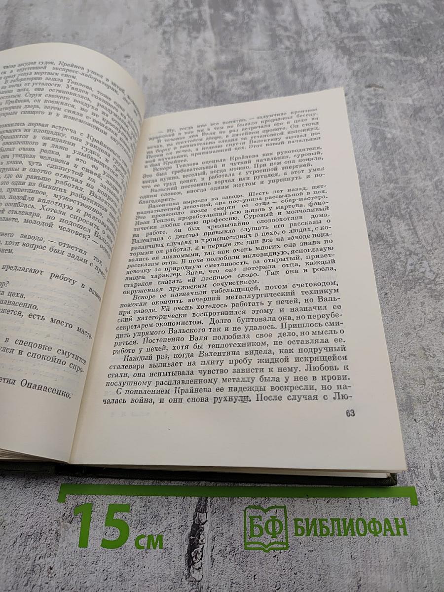 Сталь и шлак. Том 1