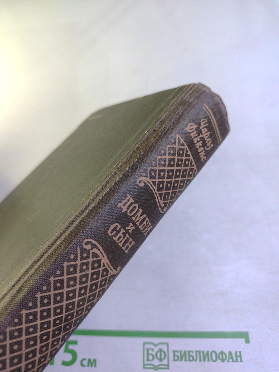 Домби и сын, Том 1