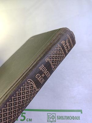 Домби и сын, Том 1