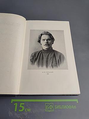 Собрание сочинений. Том 4: Повести, очерки, рассказы