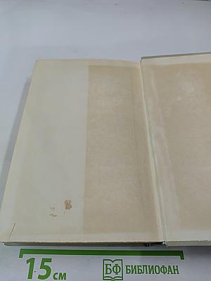 Современная болгарская кухня