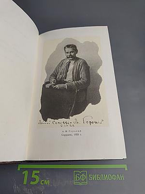Собрание сочинений М. Горького. Том восемнадцатый. «Дело Артамоновых». Рассказы и наброски 1922-1928