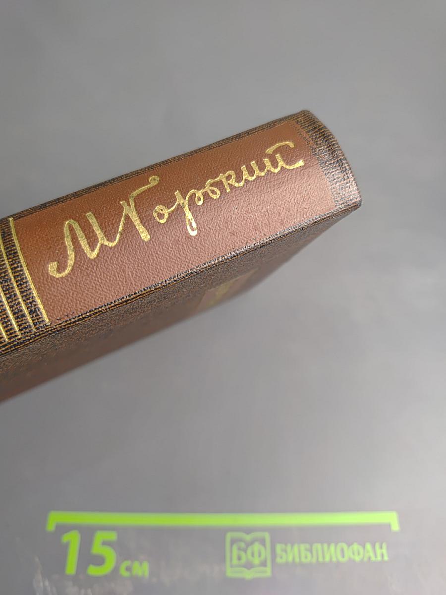 Собрание сочинений М. Горького. Том восемнадцатый. «Дело Артамоновых». Рассказы и наброски 1922-1928
