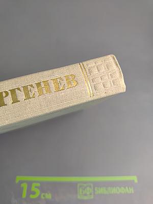 Собрание сочинений. Том девятый: Сцены и комедии 1843-1852