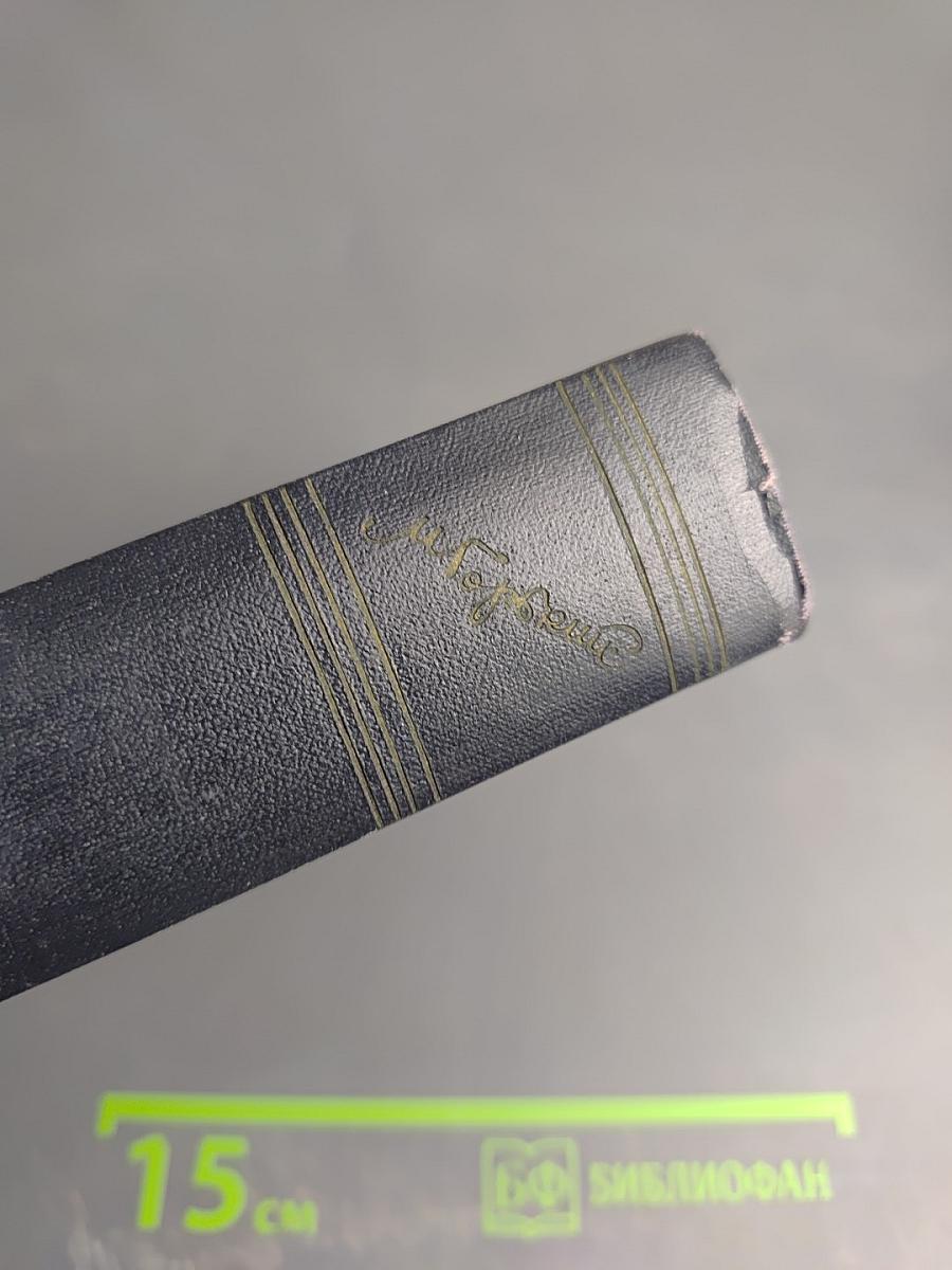 Собрание сочинений в 30 томах. Том 6. Пьесы. 1901-1906