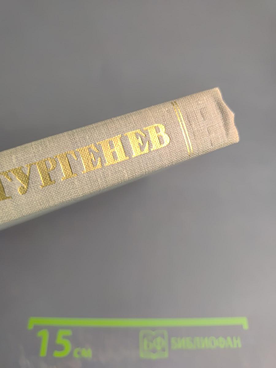 Собрание сочинений. Том восьмой. Повести и рассказы 1870-1882