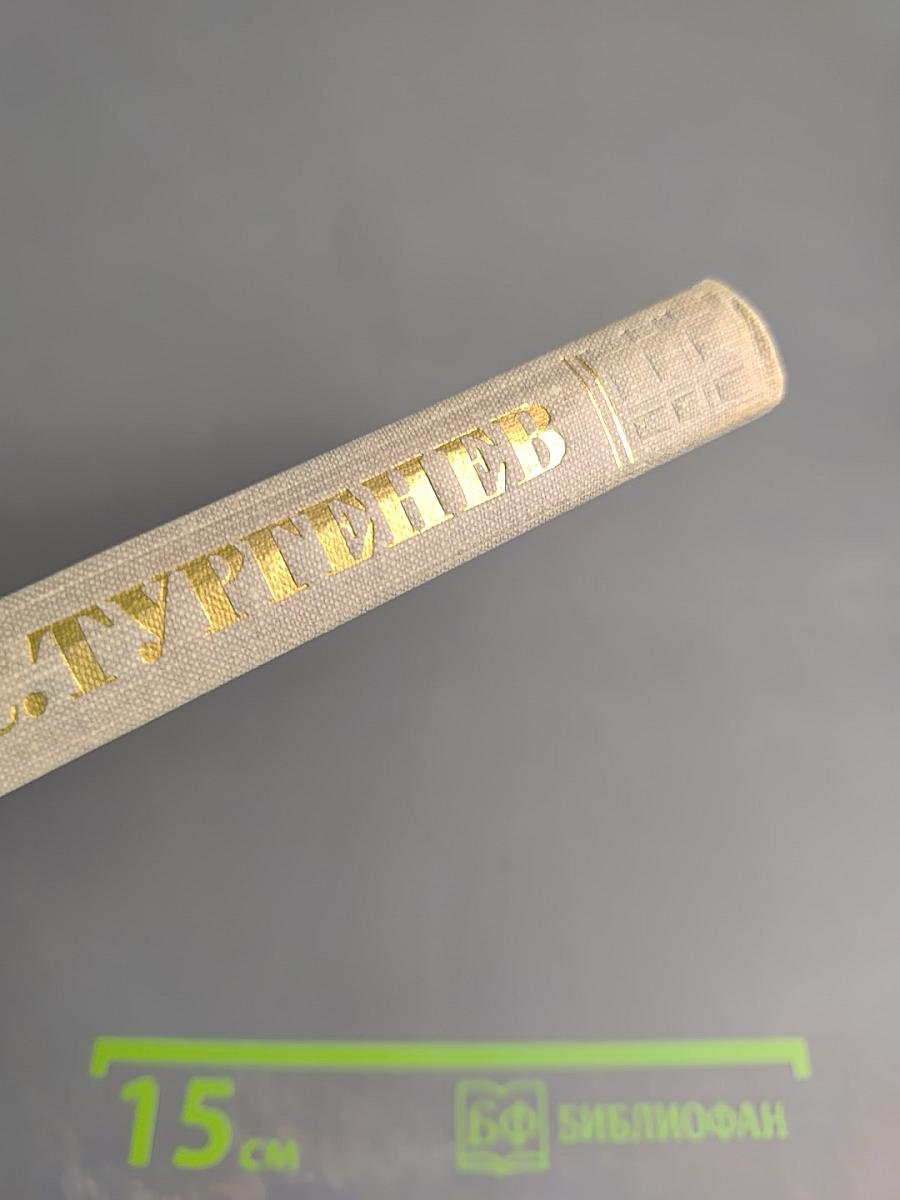 Собрание сочинений. Том шестой: Повести и рассказы 1854-1860