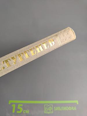 Собрание сочинений. Том шестой: Повести и рассказы 1854-1860