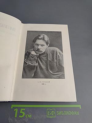 Статьи 1895-1906