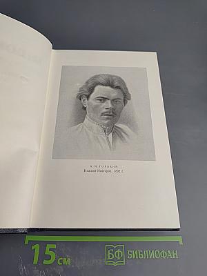 М. Горький. Том 28. Письма, телеграммы, надписи 1889-1906