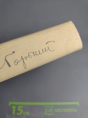 М. Горький. Том 28. Письма, телеграммы, надписи 1889-1906