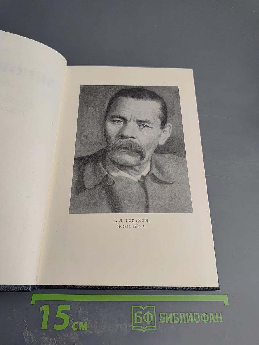Рассказы, очерки, воспоминания. 1924-1936. Том 17