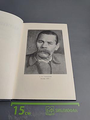 Рассказы, очерки, воспоминания. 1924-1936. Том 17