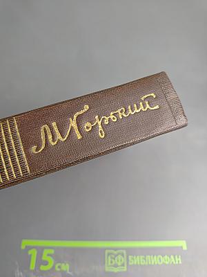 Повести 1907-1909. Том девятый