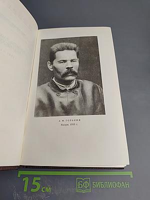 Собрание сочинений М. Горького. Том одиннадцатый: Повести, рассказы, очерки, стихи 1907 – 1917