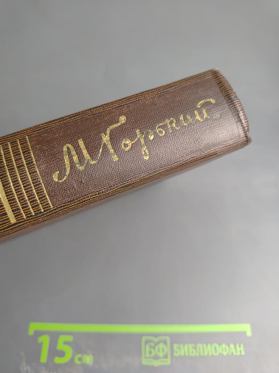 Собрание сочинений М. Горького. Том одиннадцатый: Повести, рассказы, очерки, стихи 1907 – 1917