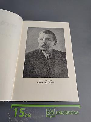 Собрание сочинений. Том 16: Рассказы, повести 1922-1925