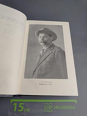 Собрание сочинений в тридцати томах. Том 24: Статьи, речи, приветствия. 1907-1928