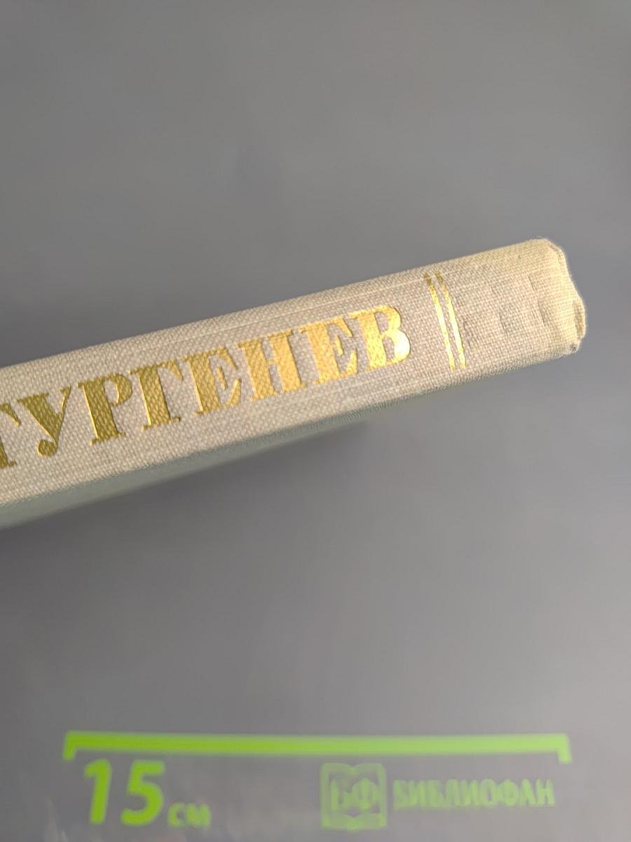 Собрание сочинений. Том второй: Рудин; Дворянское гнездо