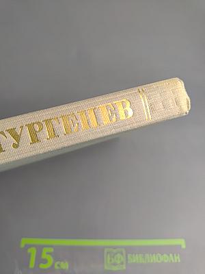 Собрание сочинений. Том второй: Рудин; Дворянское гнездо