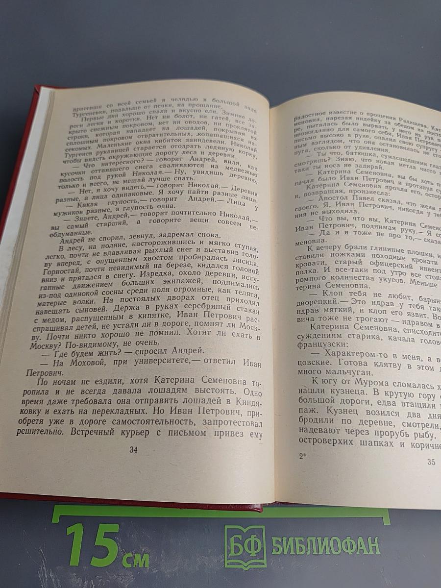 Повесть о братьях Тургеневых. Осуждение Паганини