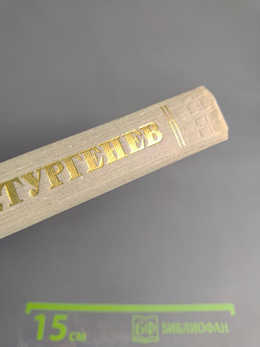 Собрание сочинений. Том десятый. Стихотворения в прозе. Литературные и житейские воспоминания. Избранные статьи и речи