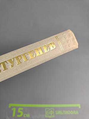 Собрание сочинений. Том десятый. Стихотворения в прозе. Литературные и житейские воспоминания. Избранные статьи и речи