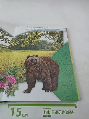 Окружающий мир. 4 класс. Часть 1