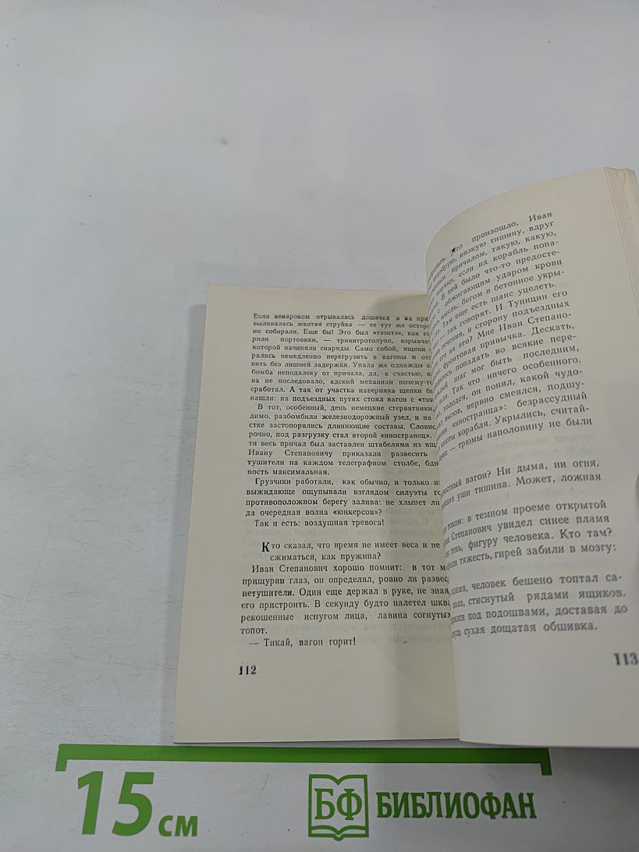 Дразнящее эхо