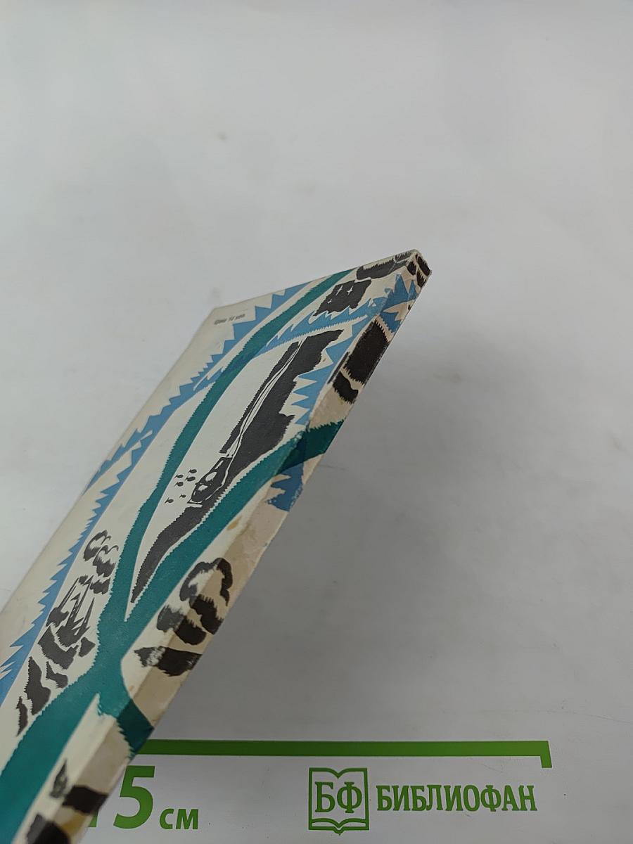 Дразнящее эхо